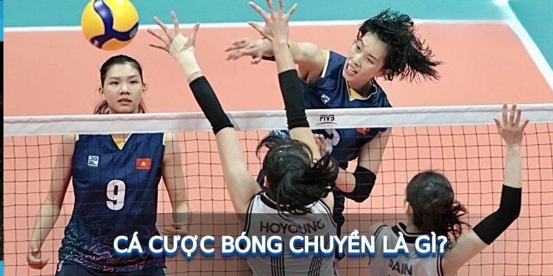 Cá Cược Bóng Chuyền Là Gì?