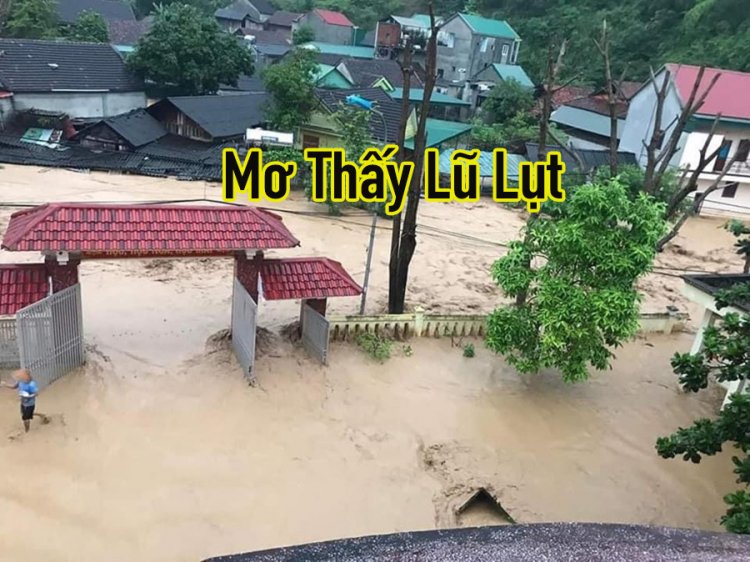 Cá Cược 8day